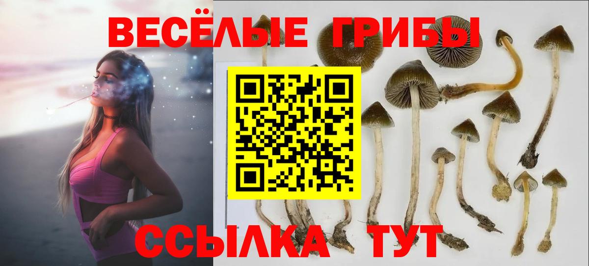 Галлюциногенные грибы Psilocybine cubensis  Псилоцибиновые грибы мухоморы  Вход с VPN  Донецк 